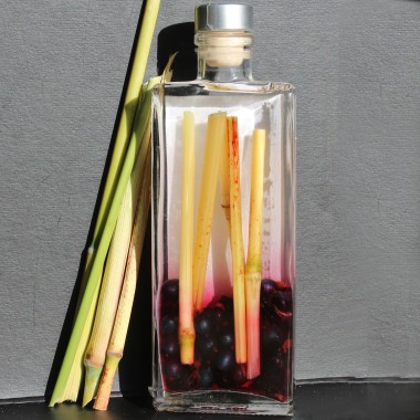 Zuckerhirse Roxy Orange (Samen)