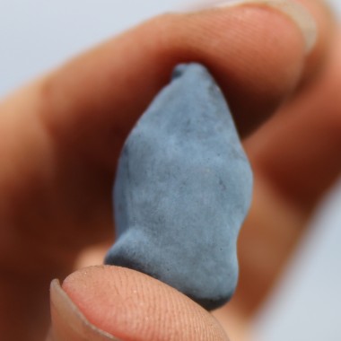 Kamtschatkabeere - Sibirische Blaubeere Rebeka (Pflanze)