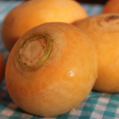 Mairübchen Petrowski (Samen)