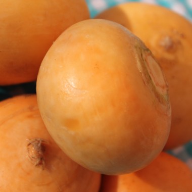 Mairübchen Petrowski (Samen)