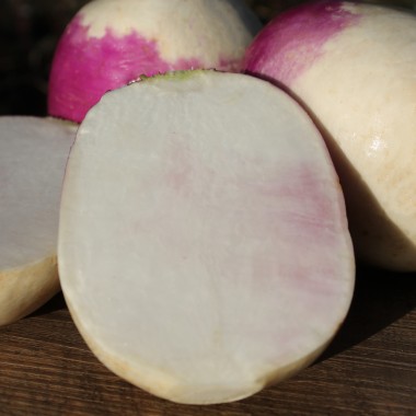 Mairübchen Mezza Lunga (Samen)