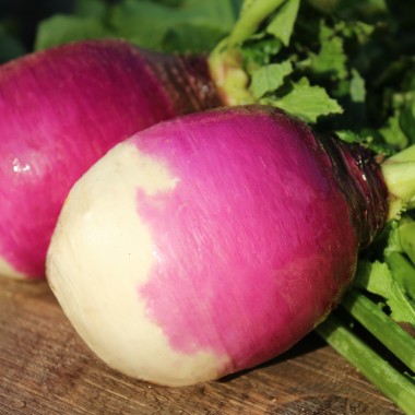 Mairübchen Mezza Lunga (Samen)