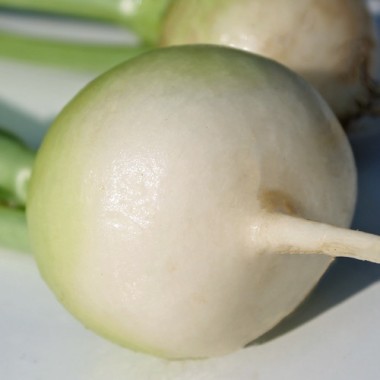 Mairübchen Norfolk Green (Samen)