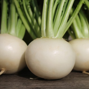 Mairübchen Snowball (Samen)