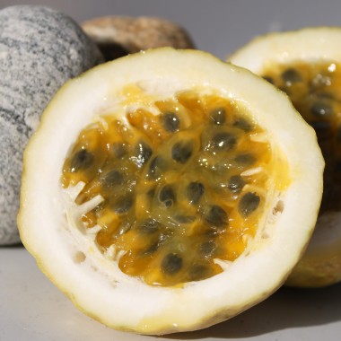 Maracuja gelb (Samen)