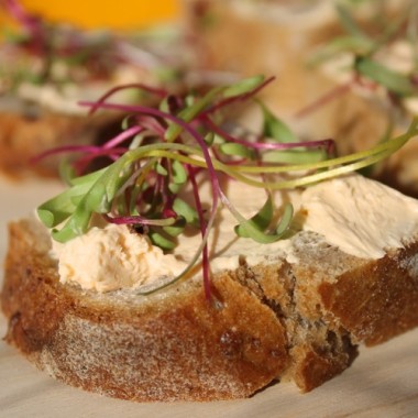 Microgreens Happy Rainbow Mischung (Samen)