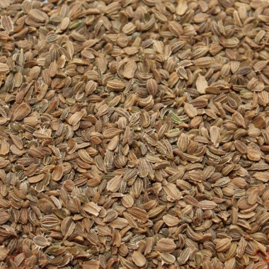 Microgreens Möhrenmischung (Samen)