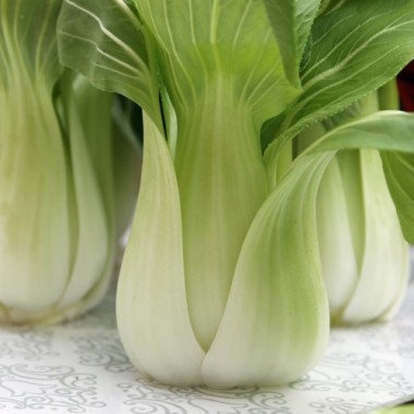 Mini Pak Choi Short Green (Samen)