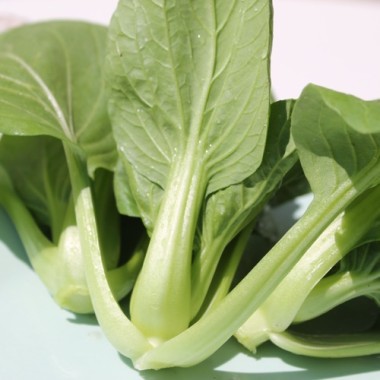 Pak Choi Thai Manaw (Samen)