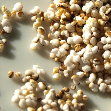 Popp-Amaranth (Samen)