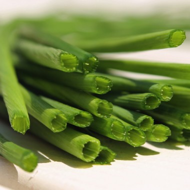 Schnittlauch Broad Leaf (Pflanze)
