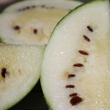 Wassermelone Cream of Sasketchewan (Samen)