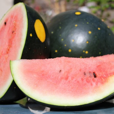 Wassermelone Moon and Stars (Samen)
