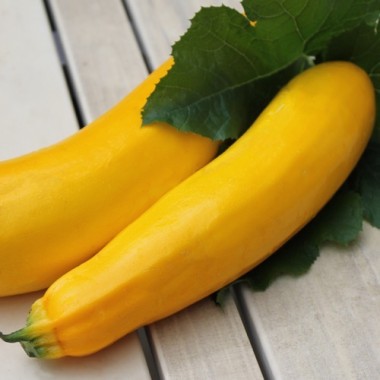 Zucchini Golden (Samen)