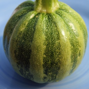 Zucchini Mongogo du Guatemala (Samen)