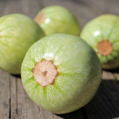 Zucchini Ronde de Nice (Samen)