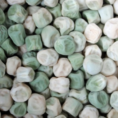 Knackerbse Sugar Snap (Samen)