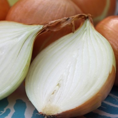 Zwiebel Augusta (Samen)