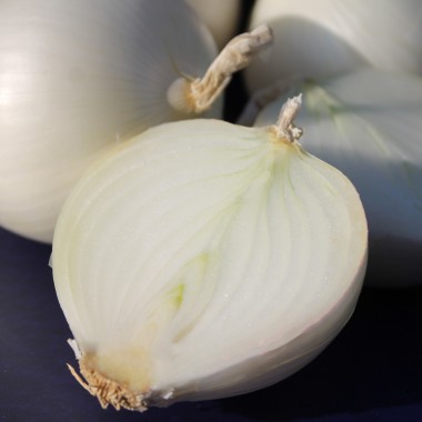 Zwiebel Tonda Musona Bianca (Samen)