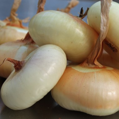 Zwiebel Yellow Borettana (Samen)