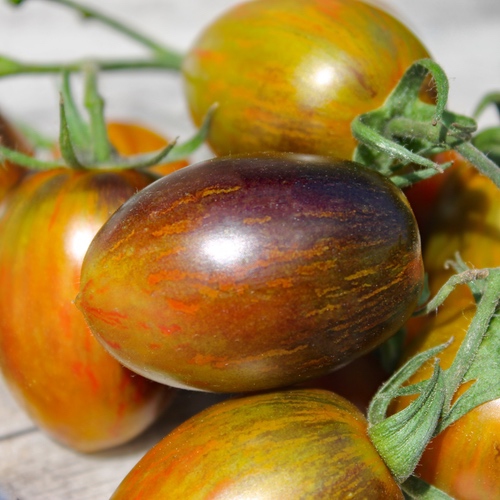 вЂјпёЏNEU BRAD'S ATOMIC GRAPE Tomate Tomatensamen 10 Samen frische Ernte 2020 