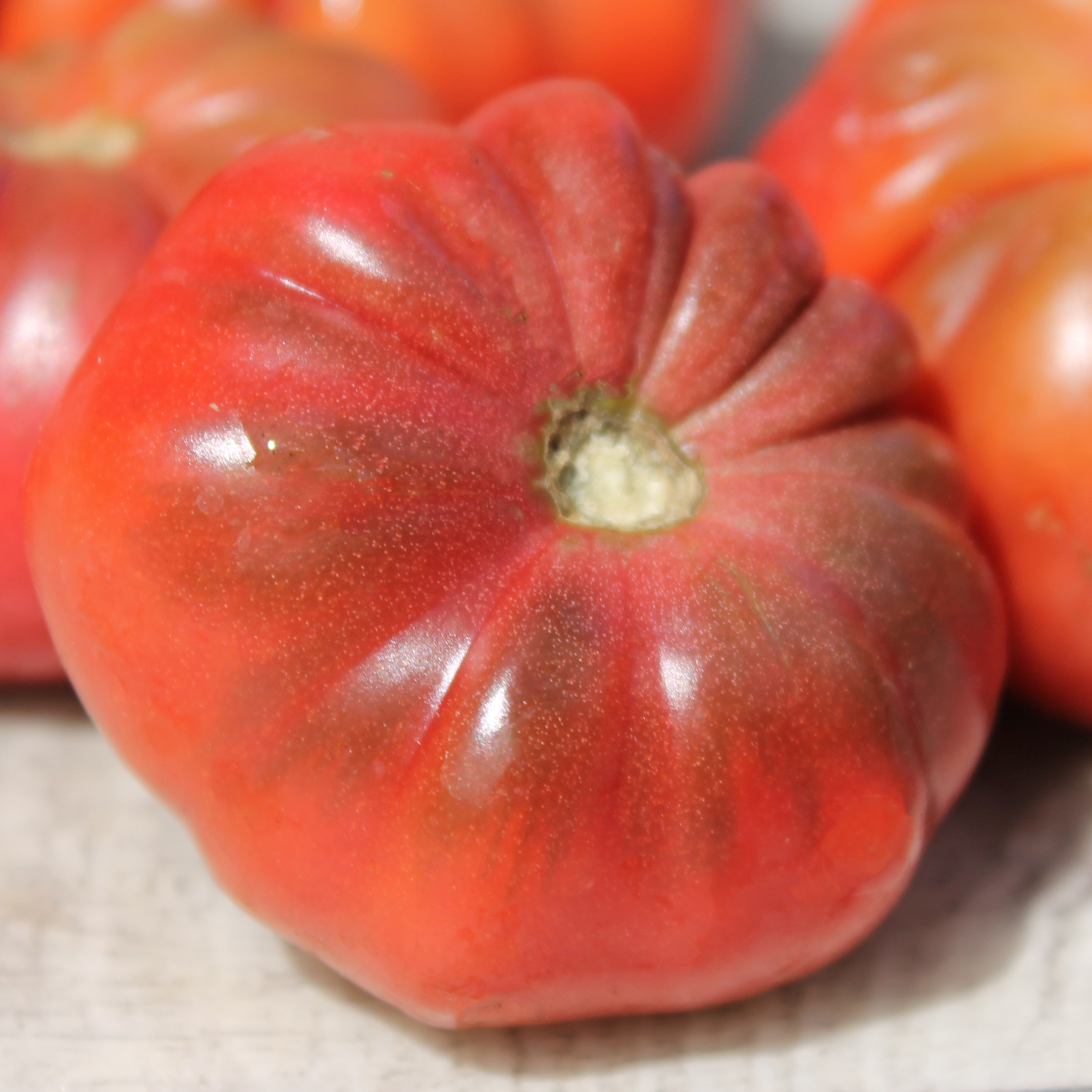 Tomate Purple Calabash 5 Samen SAFTIG und FEIN!