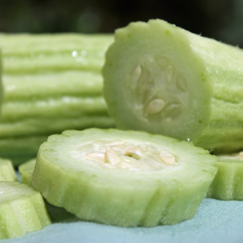 10 Samen! GroCo armenische Gurke SERPENT MELON Melone 