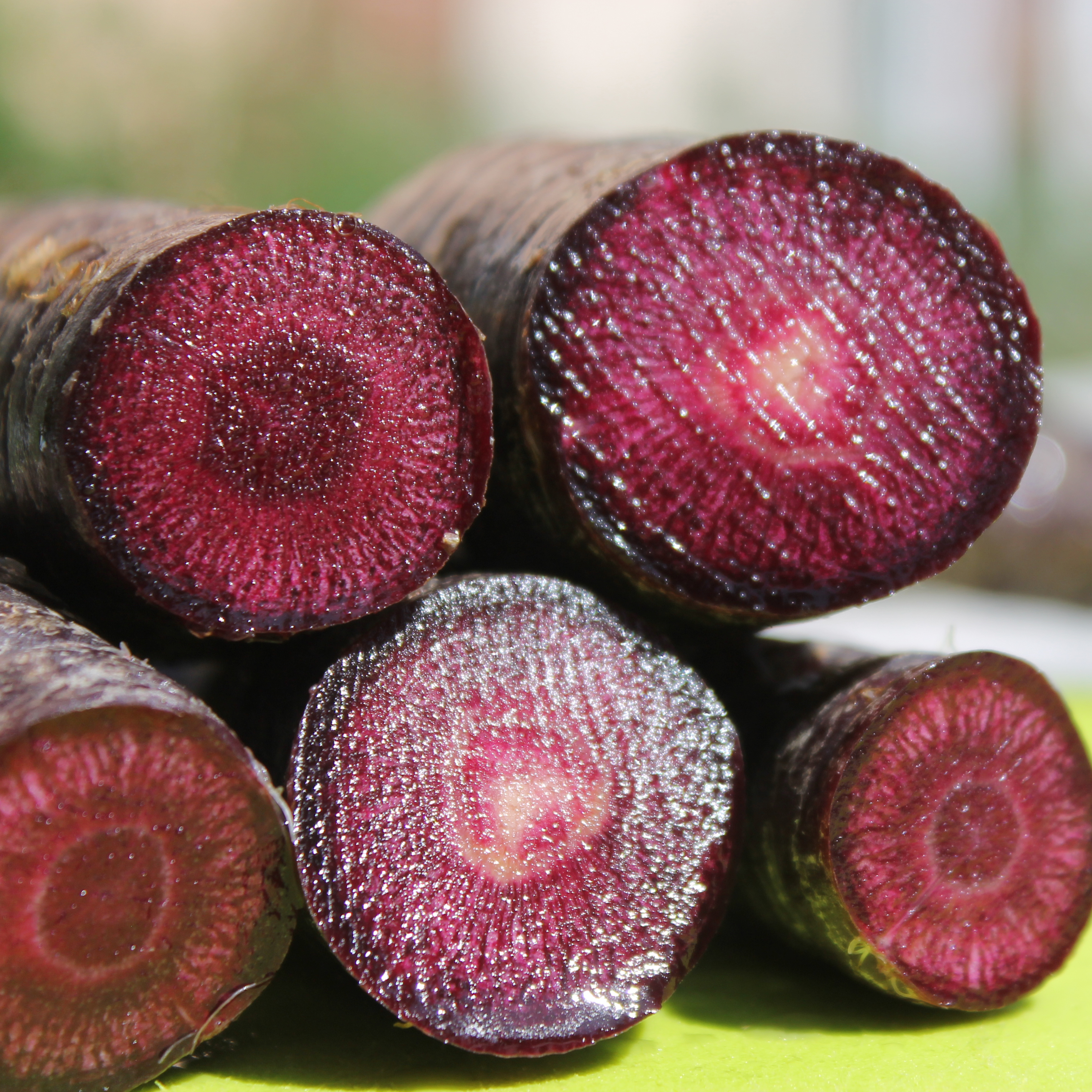 Deaflora Mohre Black Nebula