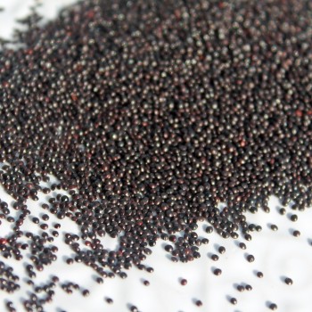 Amaranth Red Aztec (Samen)