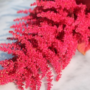 Amaranth Red Aztec (Samen)