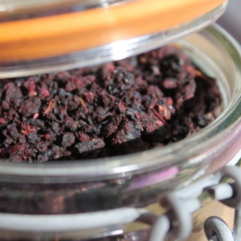 Mitschurin-Aronia (Pflanze)
