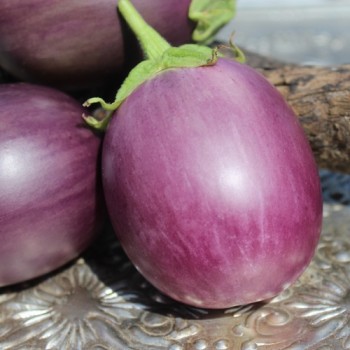 Aubergine Arumugam’s (freilandgeeignet) (Samen)