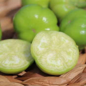 Aubergine Goyo Kumba (Samen)