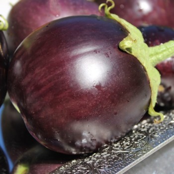 Aubergine Hallasan Jeju (Samen)