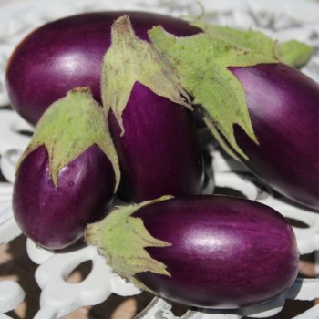 Aubergine Jewel Amethyst (freilandgeeignet) (Samen)
