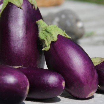 Aubergine Jewel Amethyst (freilandgeeignet) (Samen)