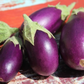Aubergine Jewel Amethyst (freilandgeeignet) (Samen)