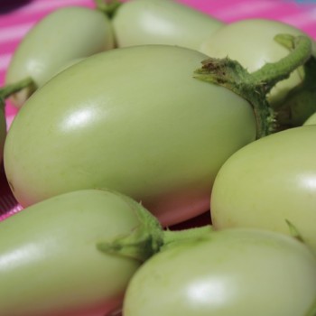 Aubergine Jewel Jade (freilandgeeignet) (Samen)