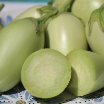 Aubergine Jewel Jade (freilandgeeignet) (Samen)
