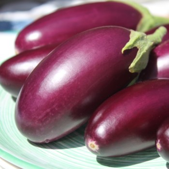 Aubergine Jewel Jet (freilandgeeignet) (Samen)
