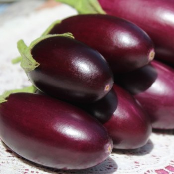 Aubergine Jewel Jet (freilandgeeignet) (Samen)