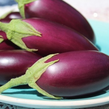 Aubergine Jewel Jet (freilandgeeignet) (Samen)