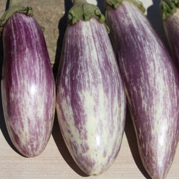 Aubergine Listada de Gandia  (Samen)
