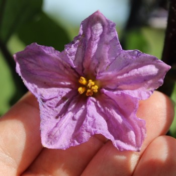 - Kopie - Kopie - Kopie - Kopie