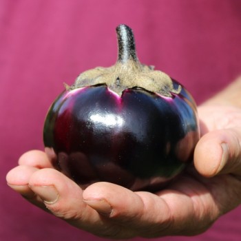 - Kopie - Kopie - Kopie - Kopie