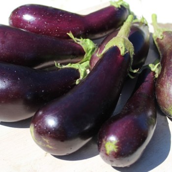 Aubergine Violetta Lunga (Samen)