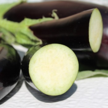 Aubergine de Barbentane (Samen)