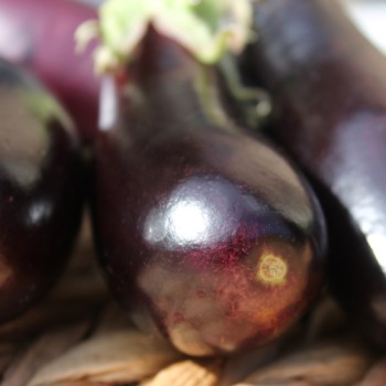 Aubergine de Barbentane (Samen)