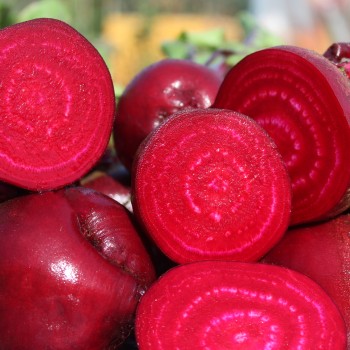 Beete Detroit Dark Red (Samen)