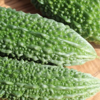 Bittermelone Futo (Samen)